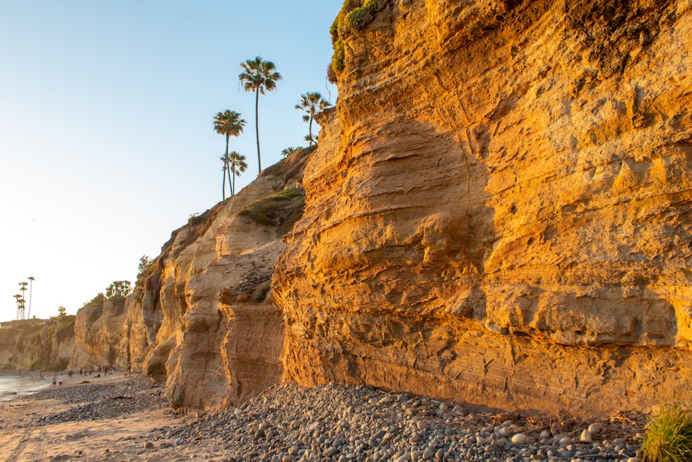 brown rock formation near green palm tree during daytime