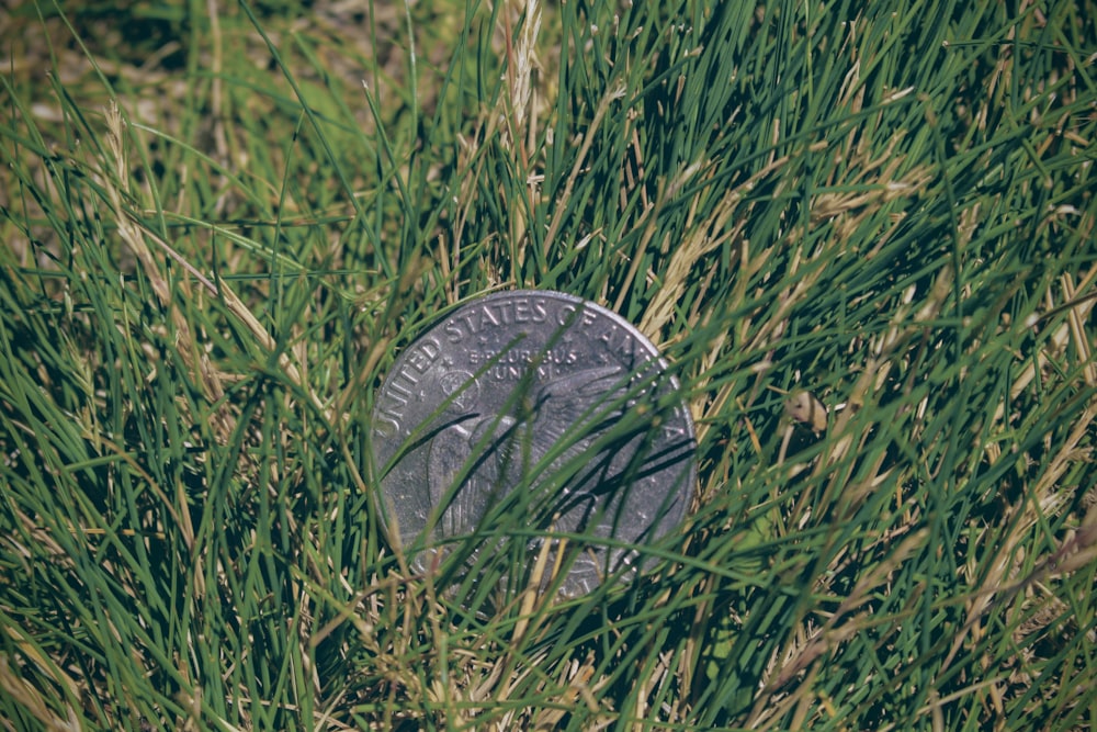 silver round coin on green grass