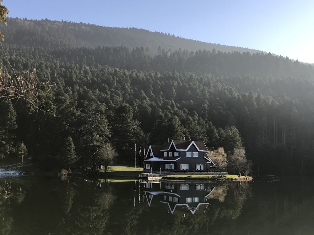 brown wooden house on lake near green trees during daytime