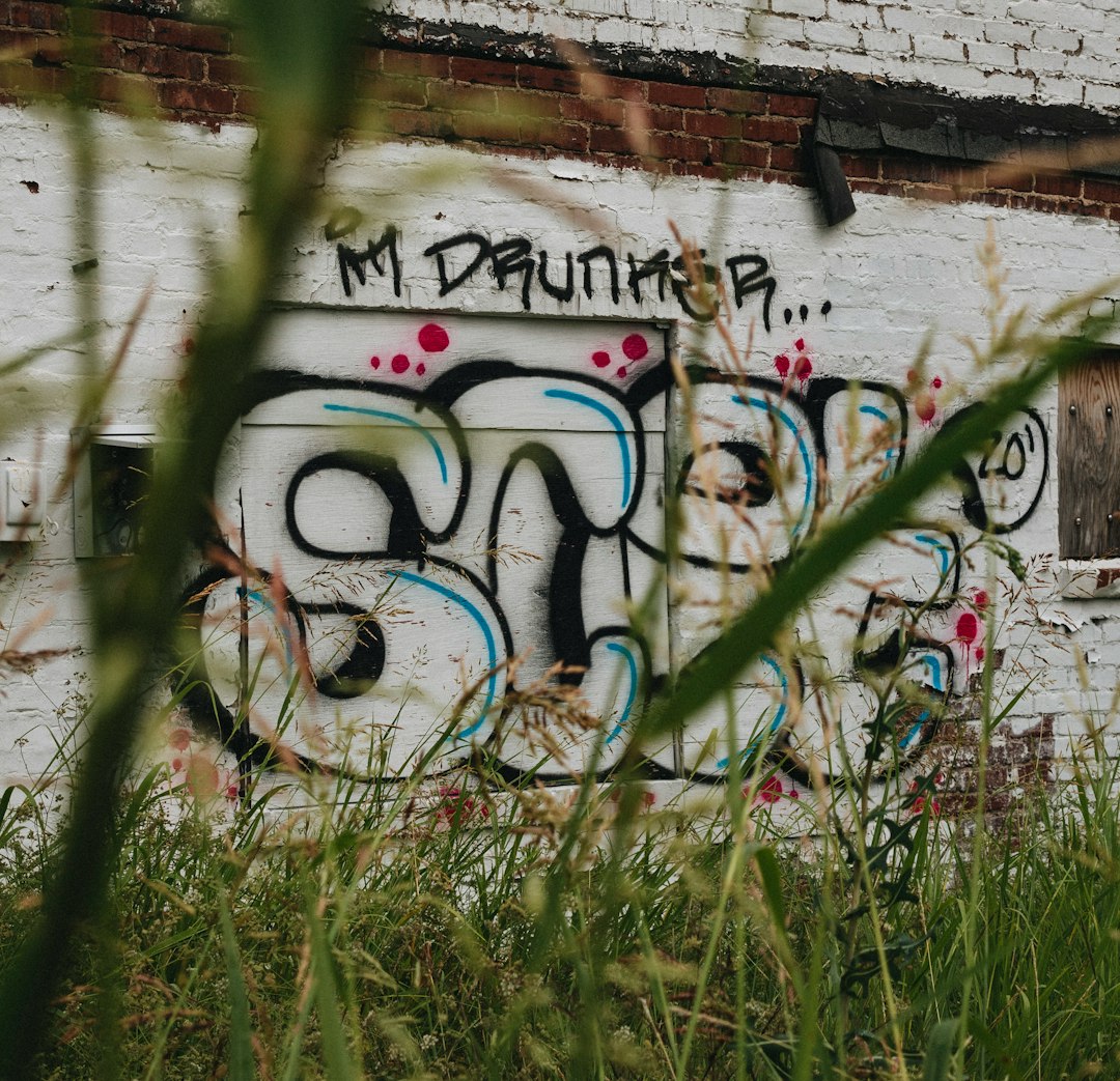 green grass beside brown concrete wall