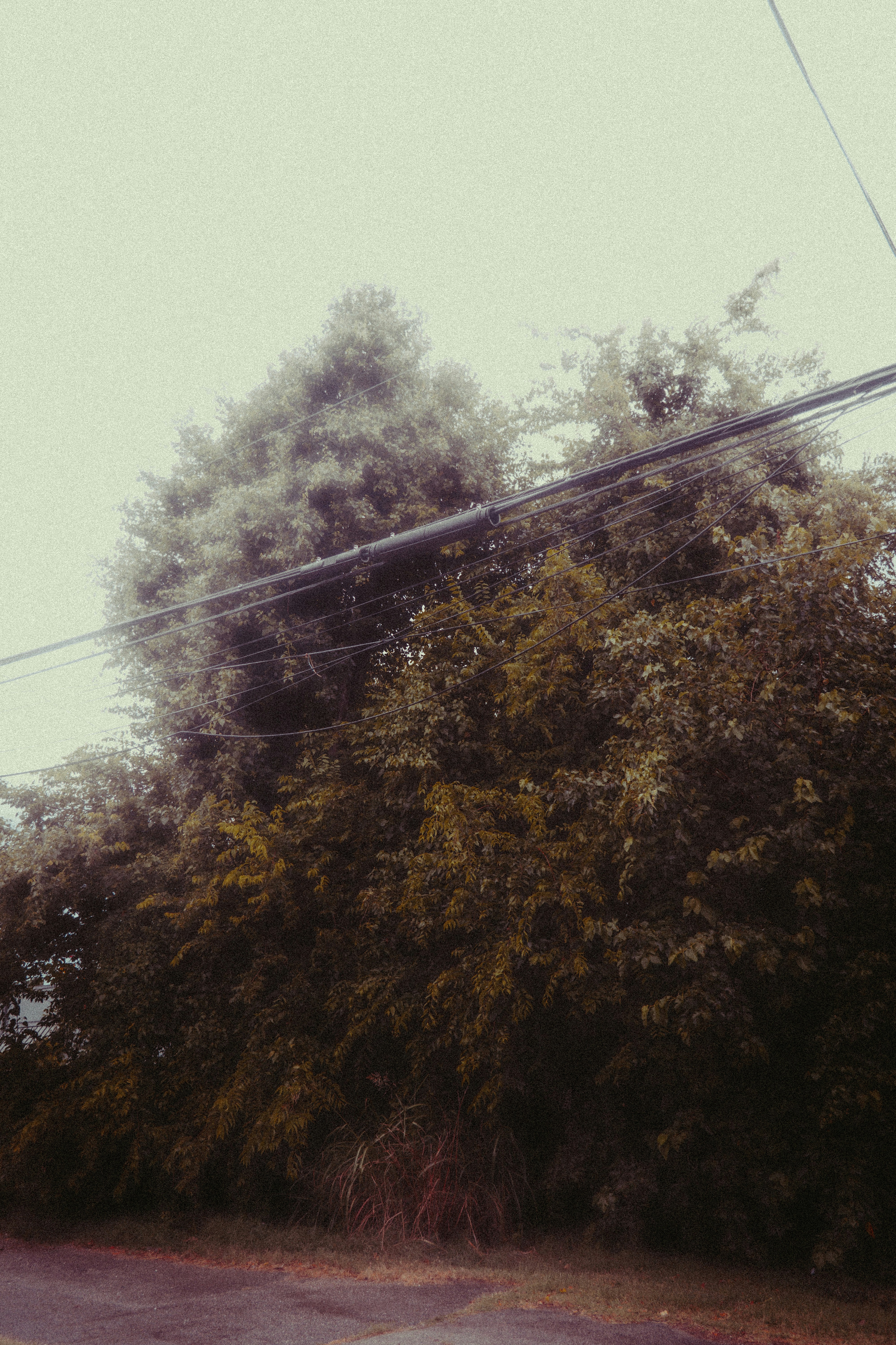 Photo by lowmurmer