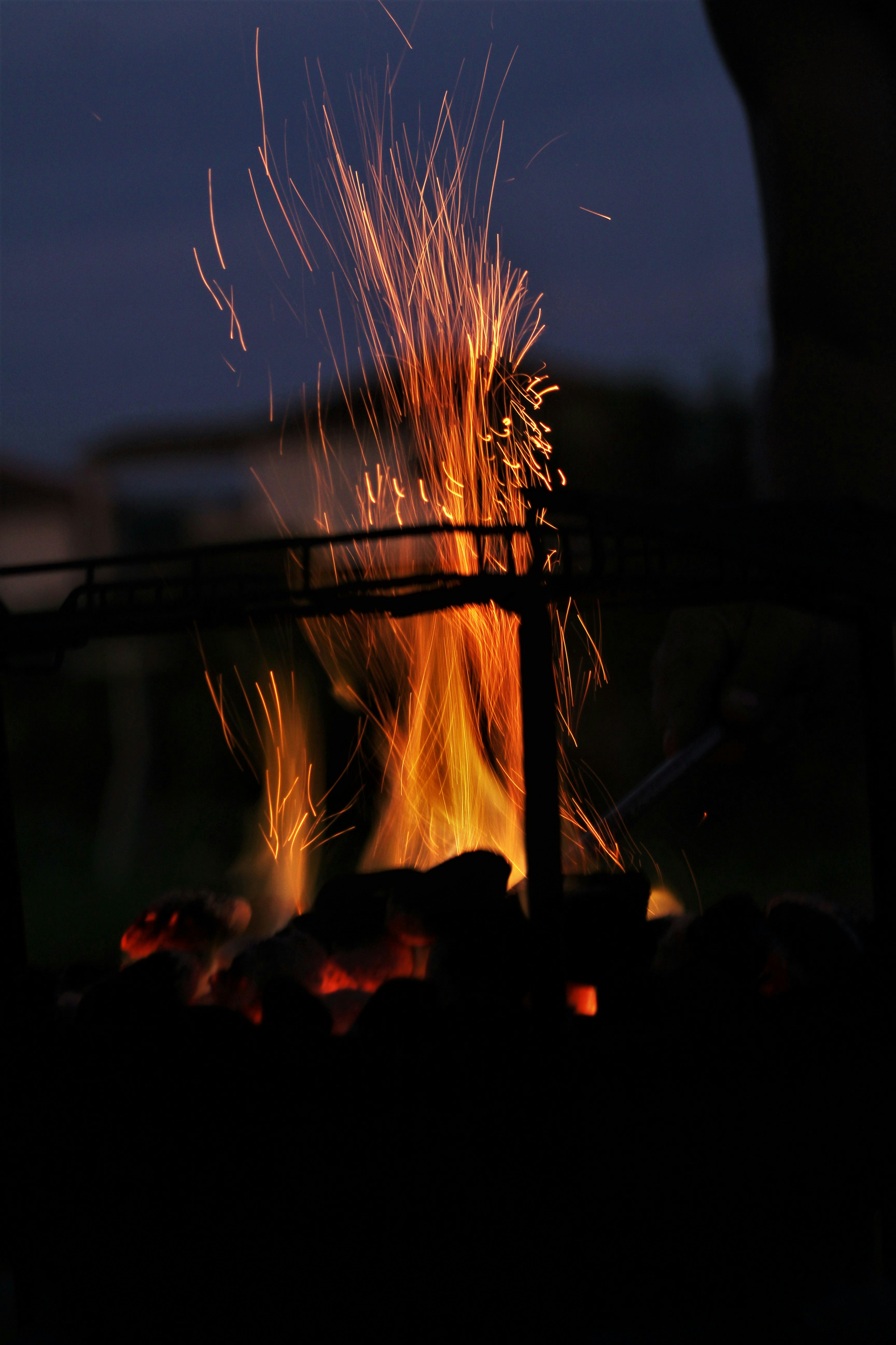 Photo by artisticnicks