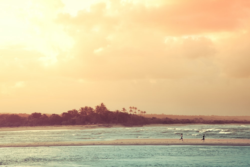 pessoas na praia durante o pôr do sol