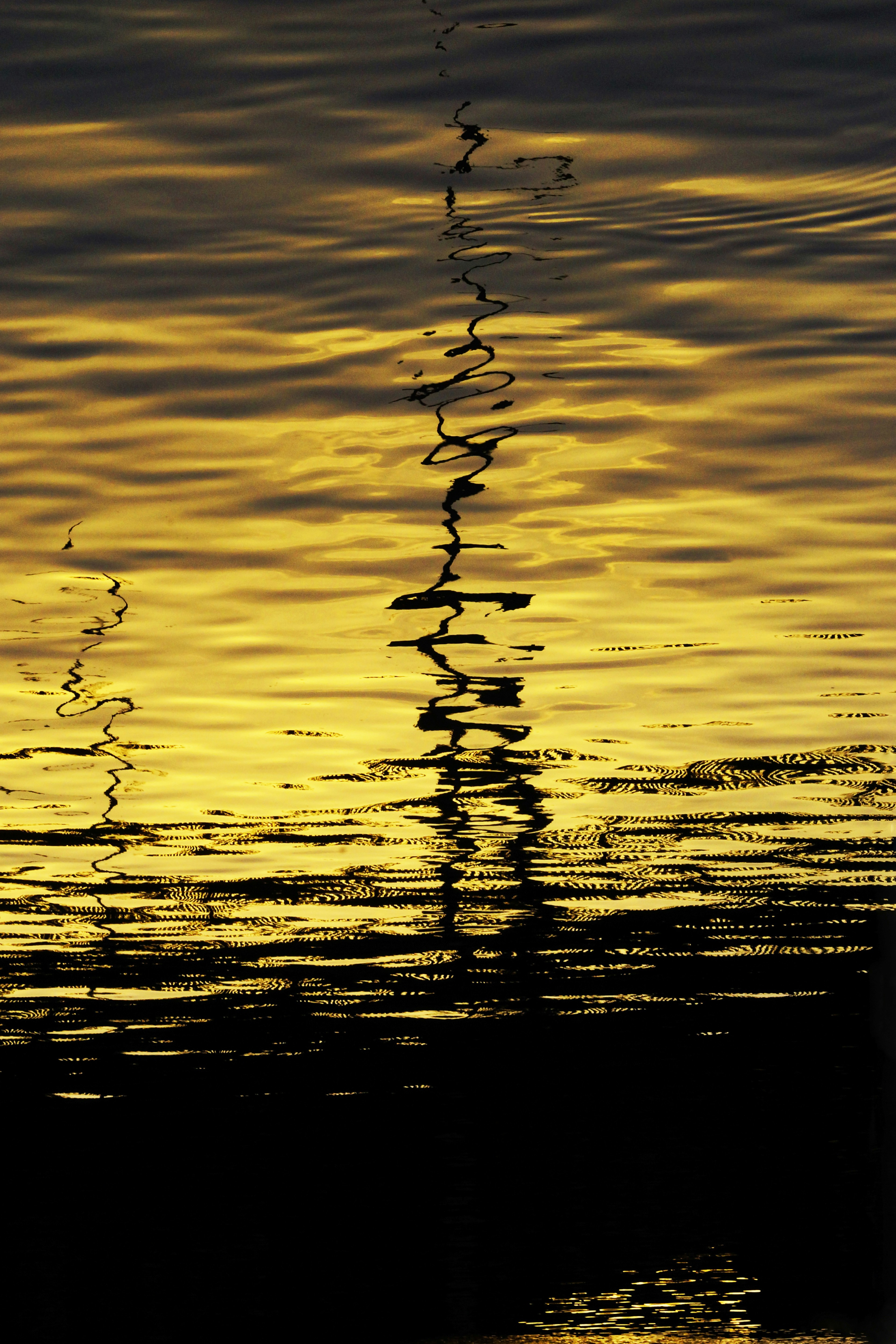 body of water during sunset