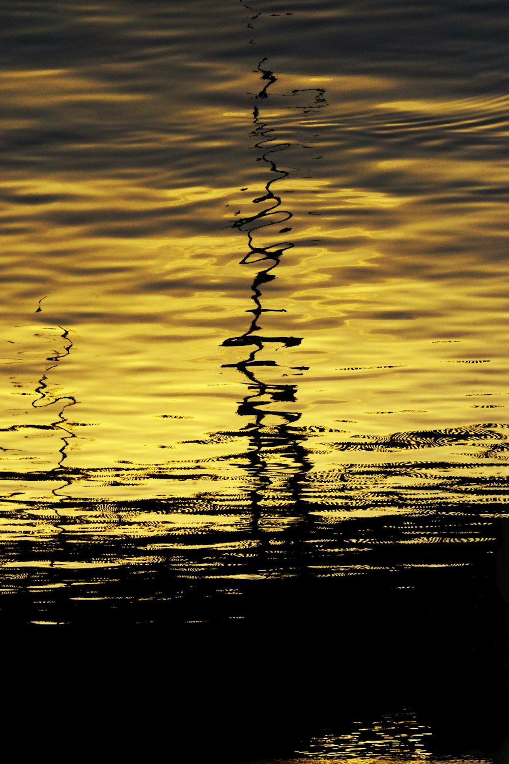 body of water during sunset