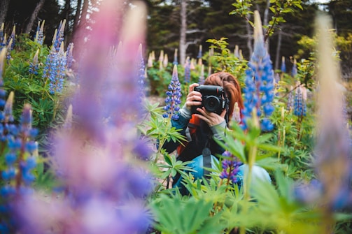 woman in black jacket taking photo of purple flowers