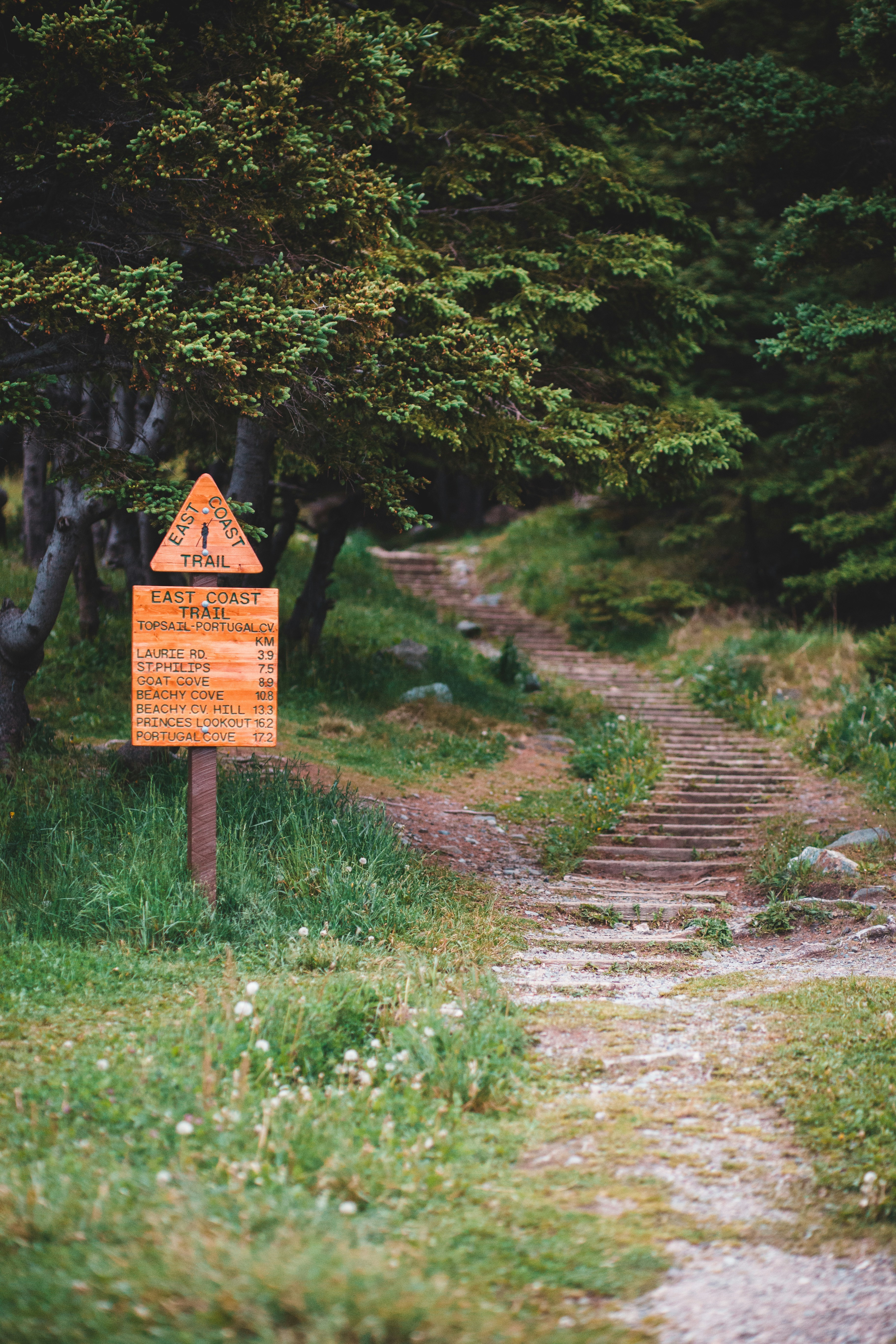 Descobrindo a Natureza: Roteiros de Ecoturismo Leve e Caminhadas em Trilhas Acessíveis