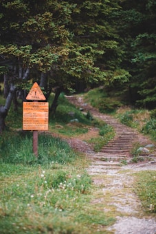 A hiking trail sign stands surrounded by lush greenery. The sign provides directions and distances to various locations along the East Coast Trail. A path begins at the base of the sign and winds up a gentle hill, flanked by tall trees on either side.