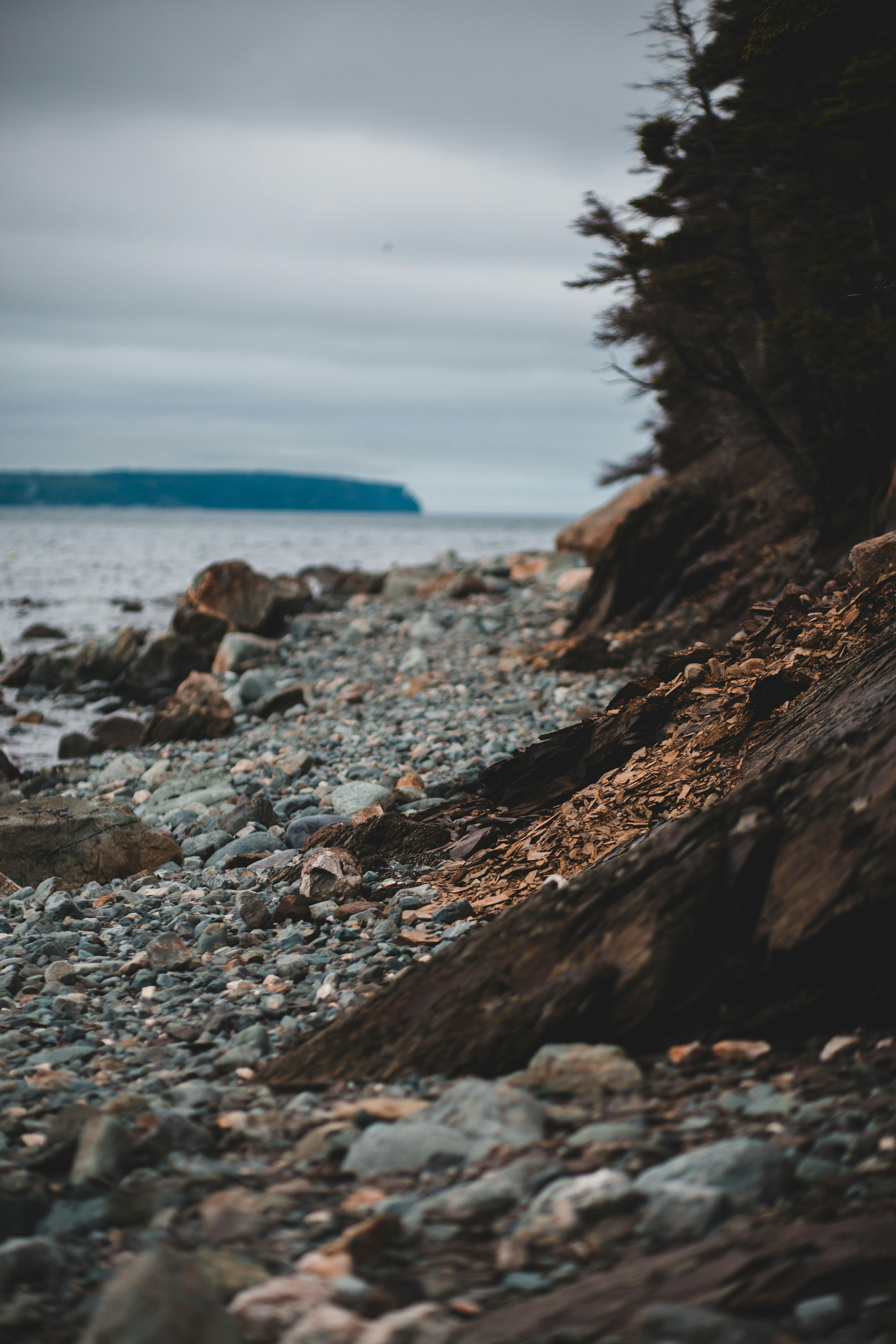 Photo by introspectivedsgn