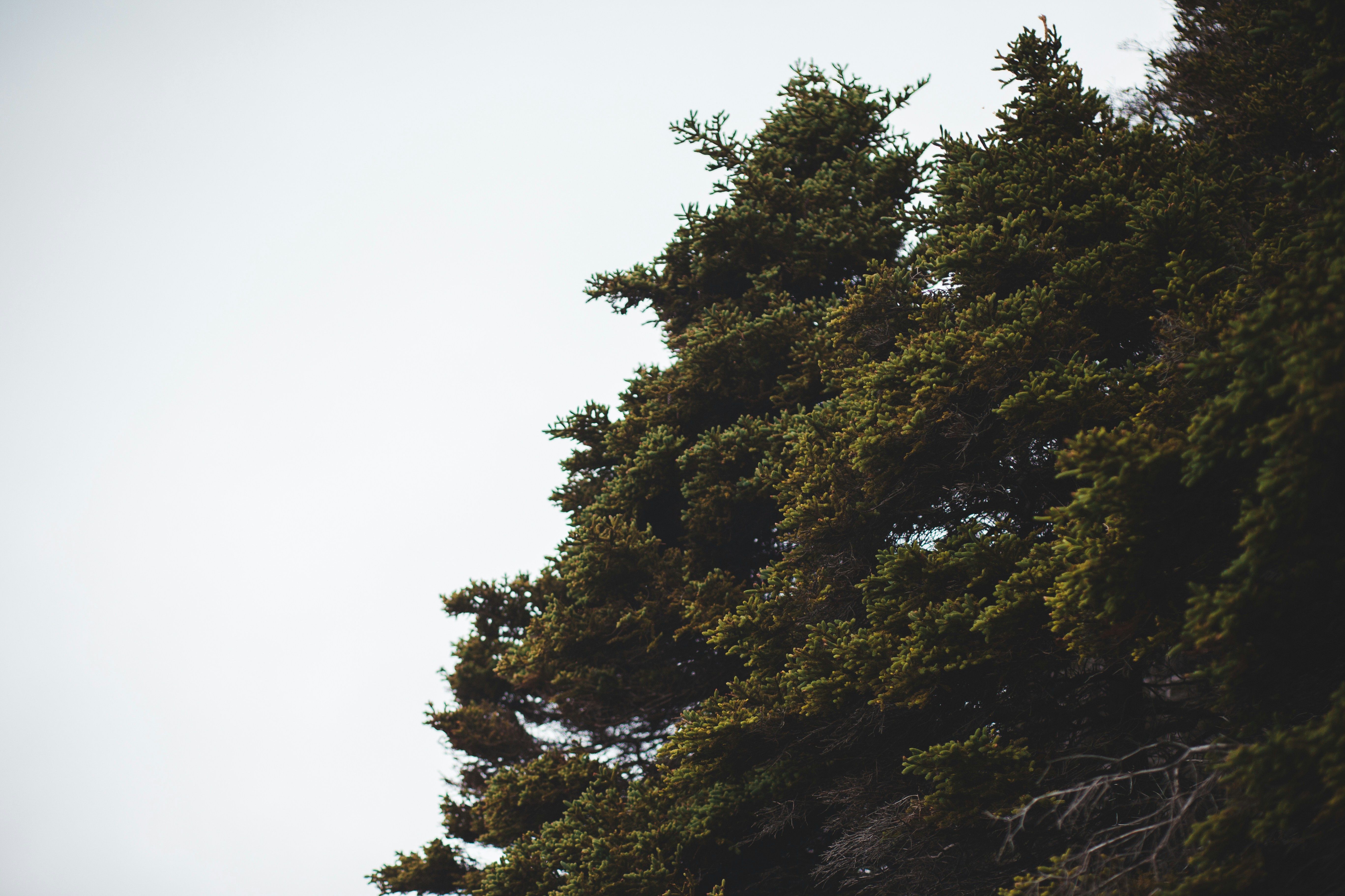 Photo by introspectivedsgn