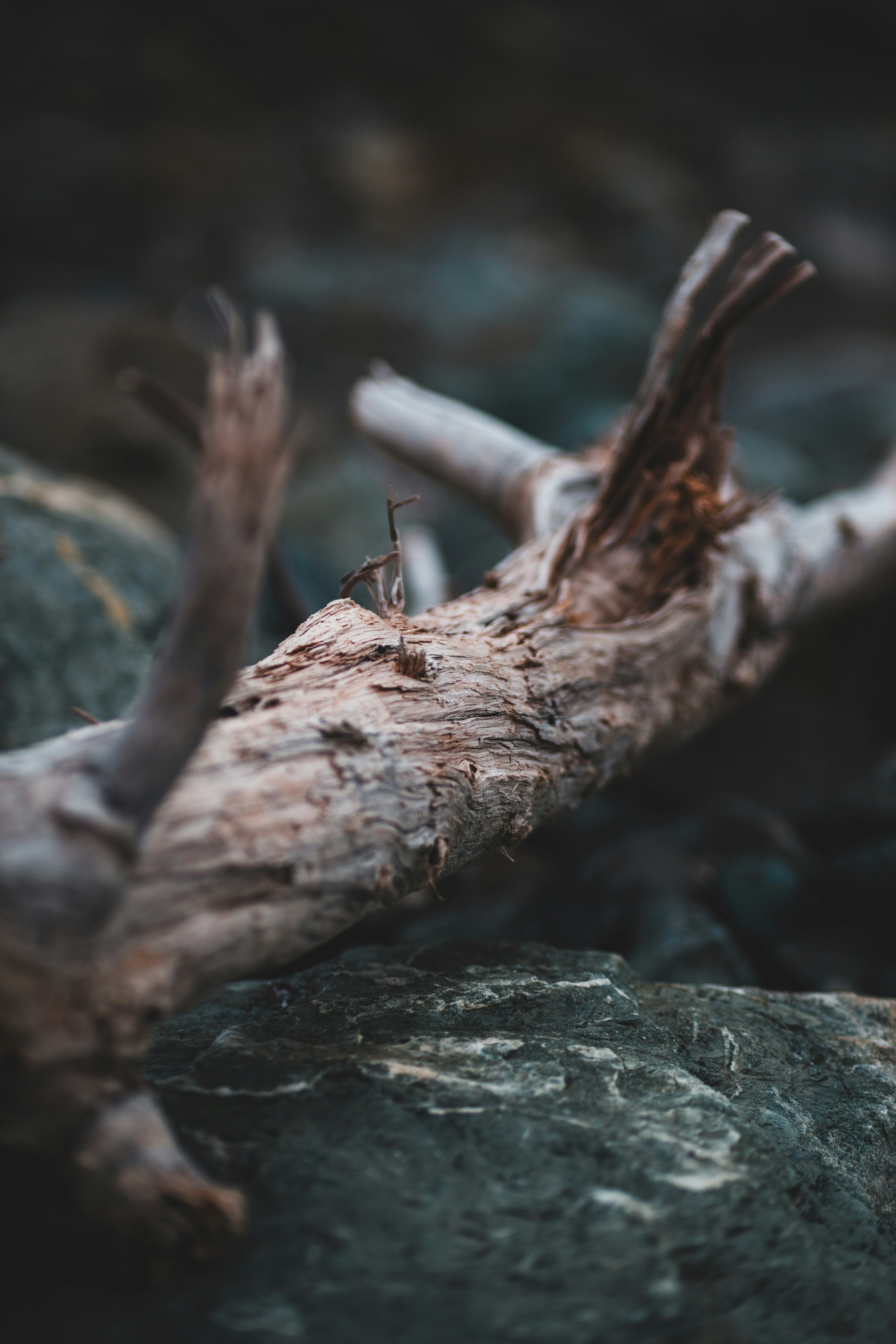 Photo by introspectivedsgn