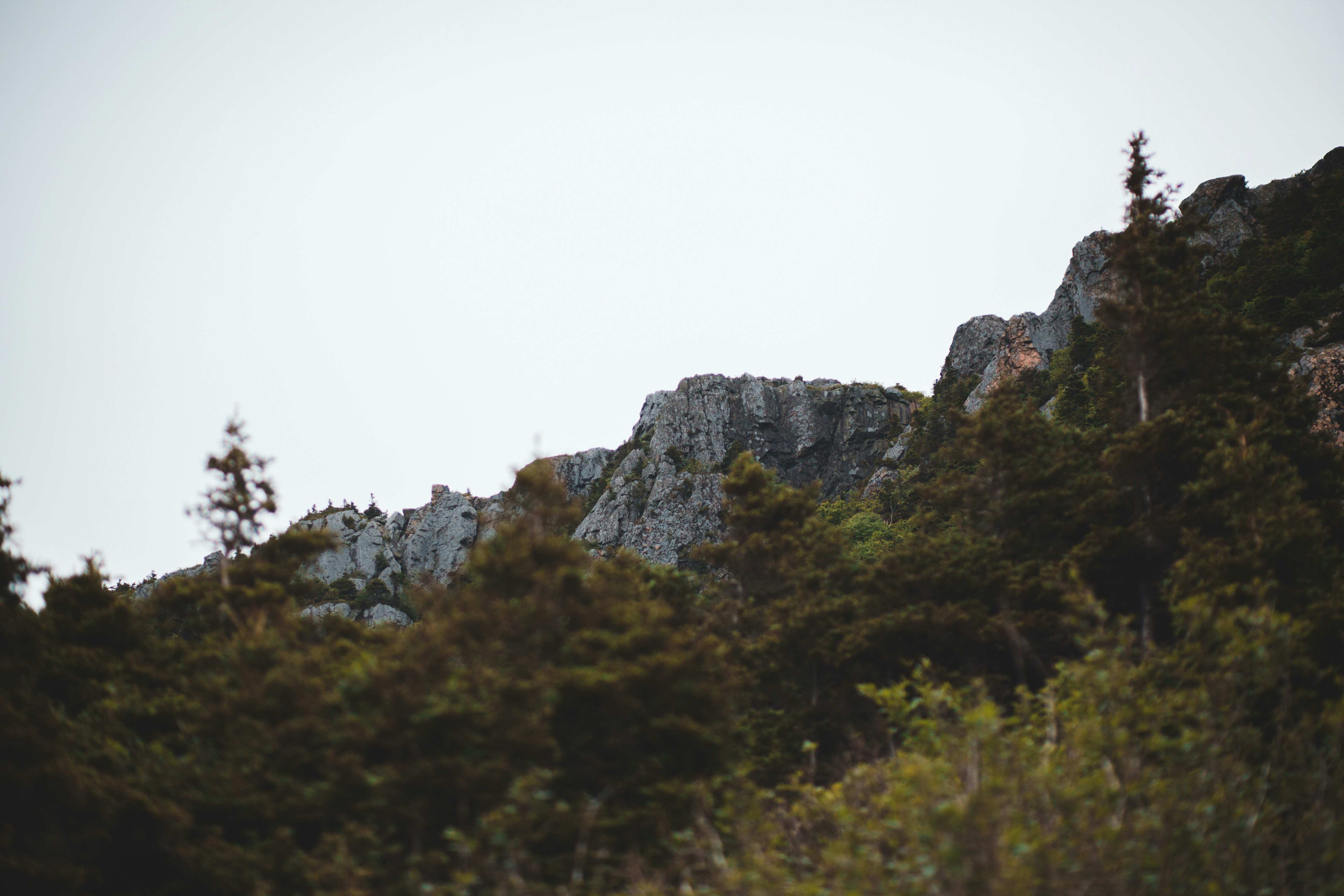 Photo by introspectivedsgn