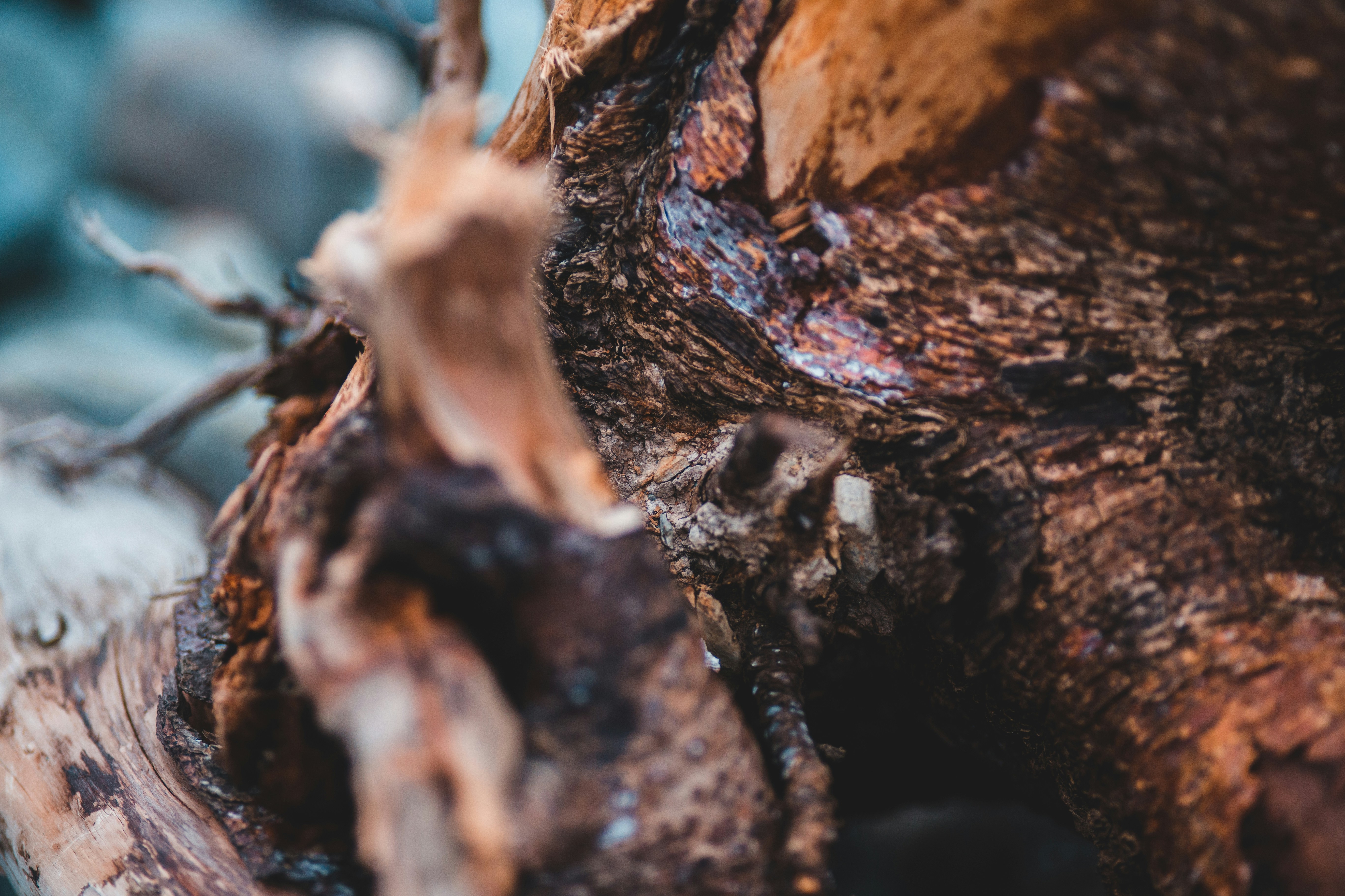 Photo by introspectivedsgn