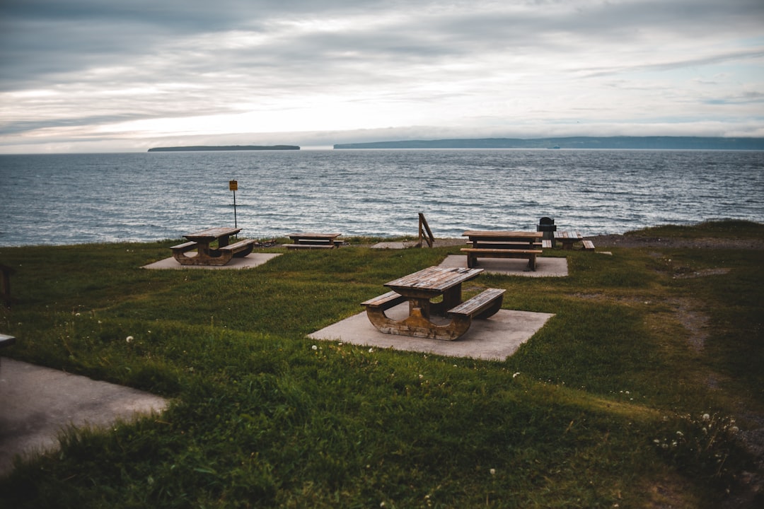 brown wooden picnic table on green grass field near body of water during daytime