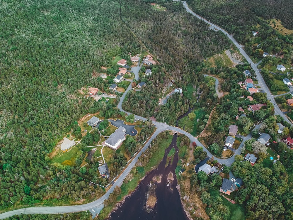 aerial view of green trees and houses during daytime