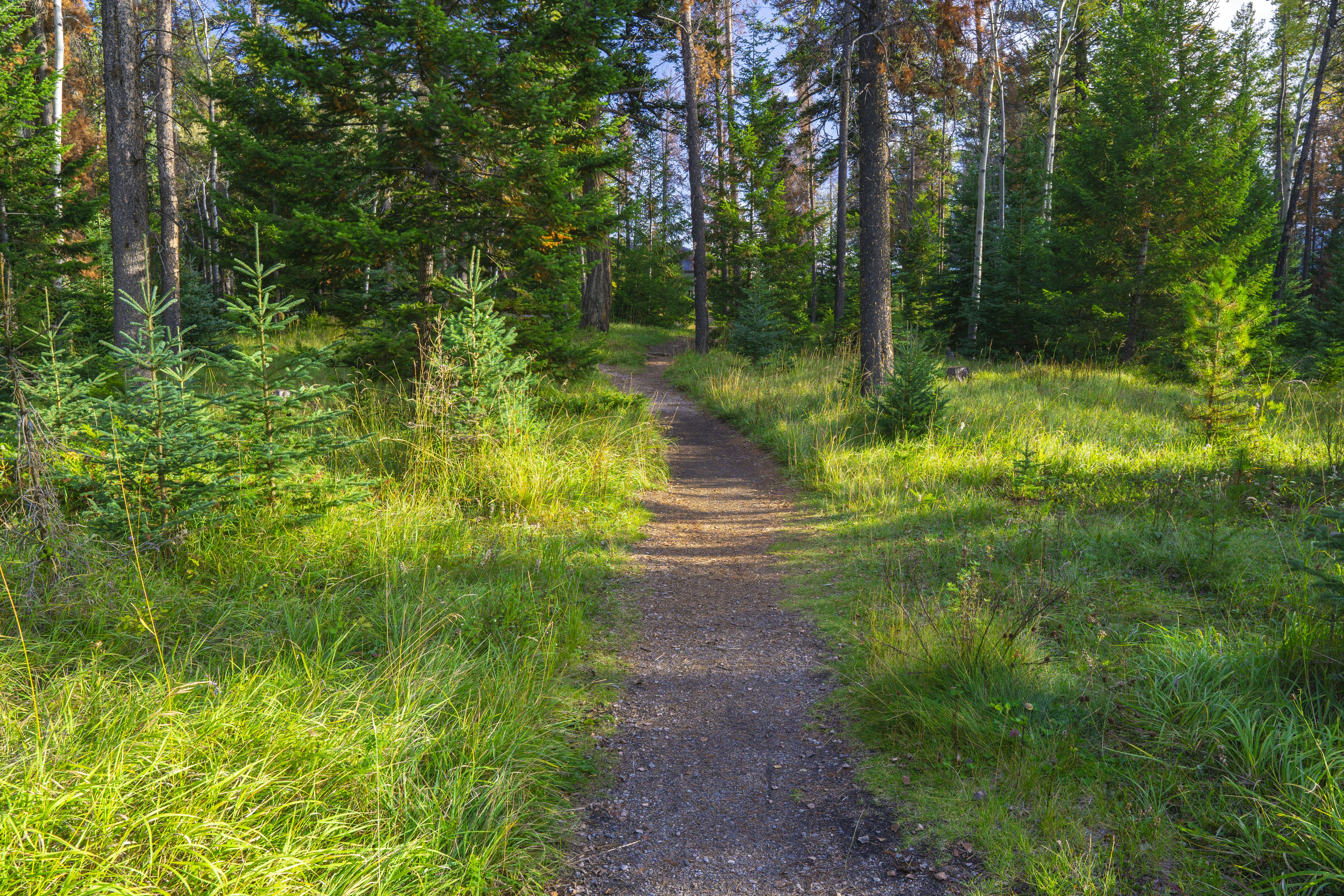 Photo by joshuaworoniecki