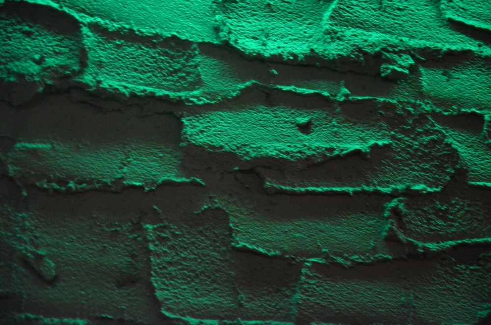 green concrete brick wall during daytime