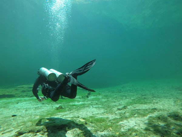 2 Tank Cenote Dive — Certified Divers