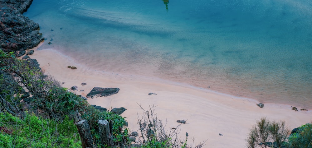 green grass on white sand beach