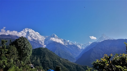 green trees on mountain under blue sky during daytime in Annapurna Conservation Area Nepal