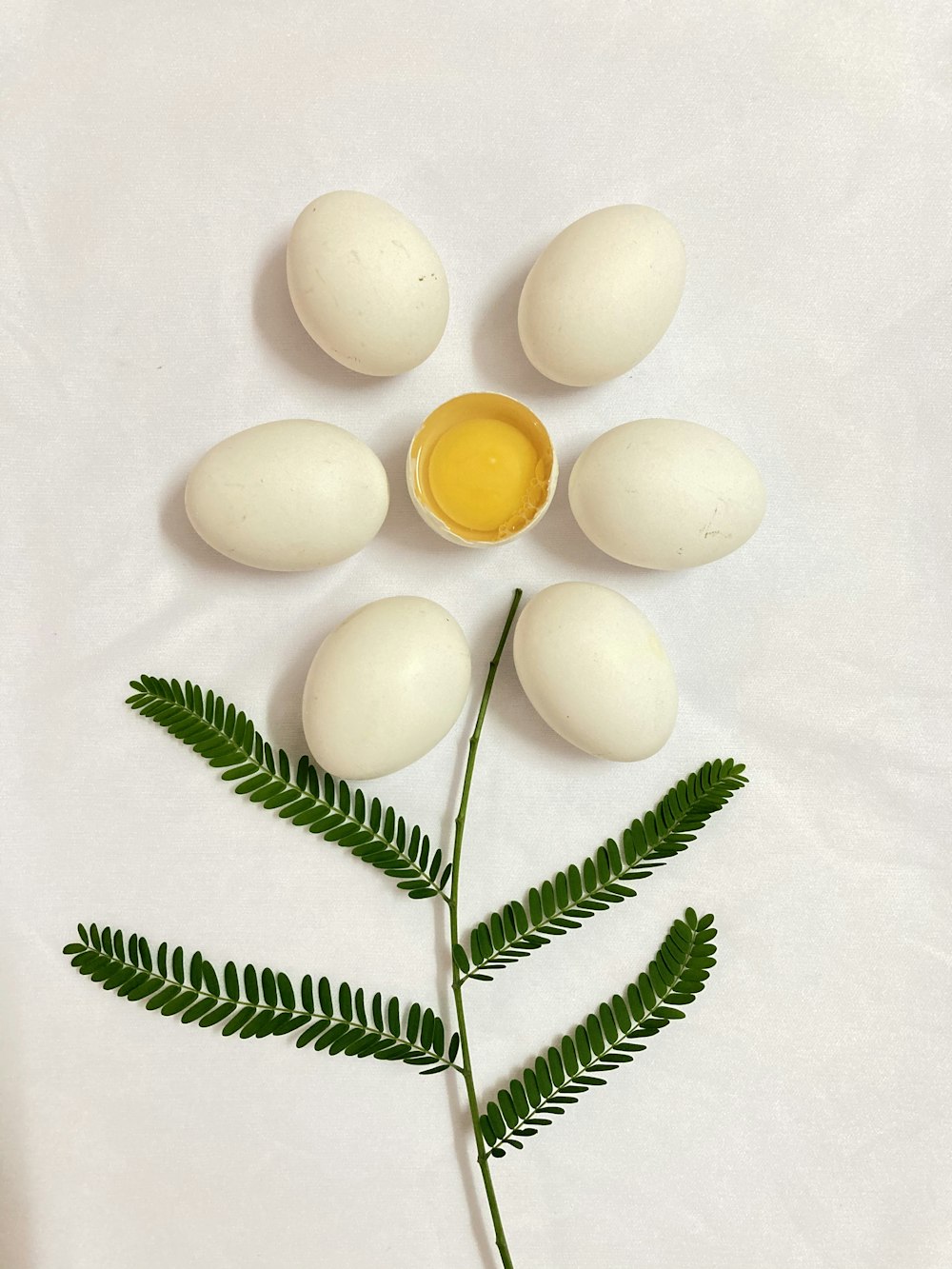 weißes Ei neben grünen Blättern