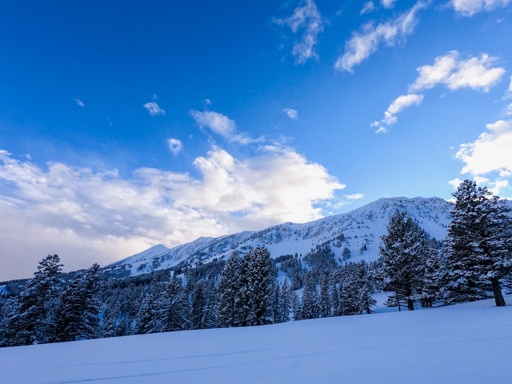 snow covered mountain under blue sky during daytime