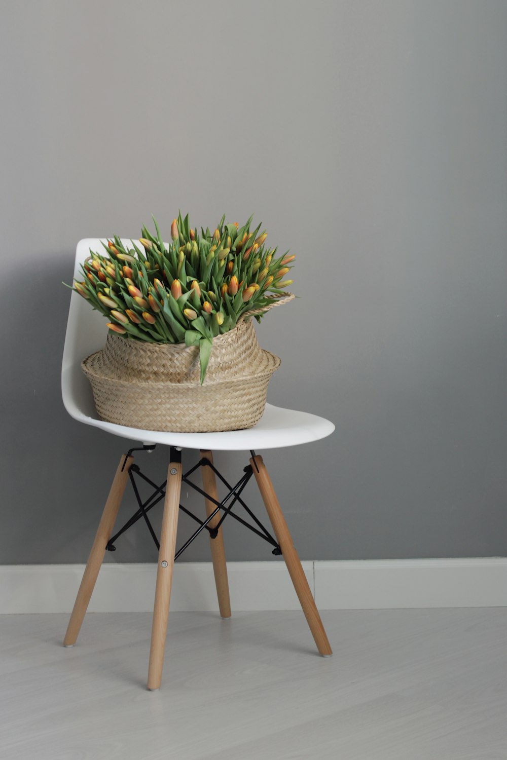 green and white plant on brown wooden seat