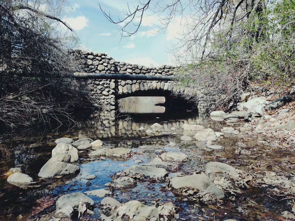 brown wooden bridge over river