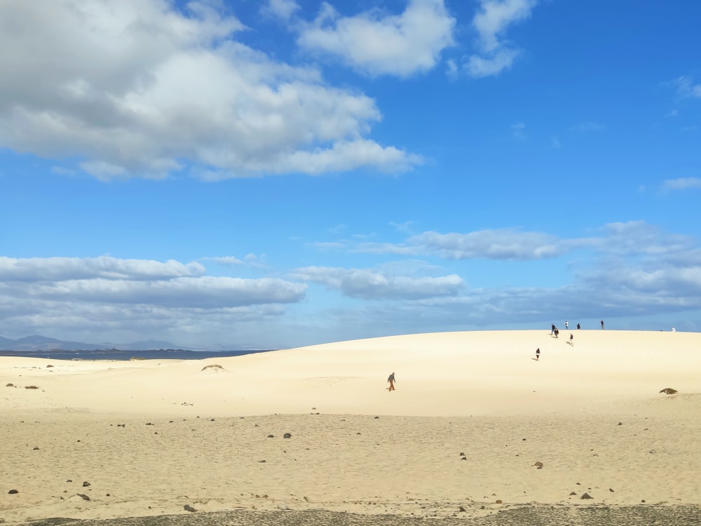 people on beach under blue sky during daytime