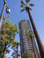 A tall modern apartment building is surrounded by palm trees and other green foliage under a clear blue sky. A black streetlamp is visible on the left.