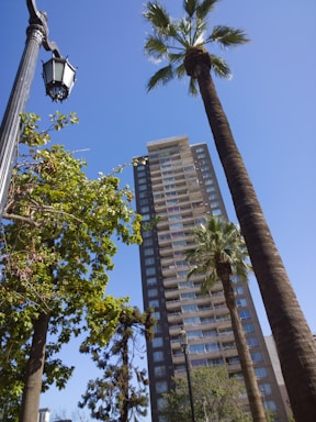 A tall modern apartment building is surrounded by palm trees and other green foliage under a clear blue sky. A black streetlamp is visible on the left.