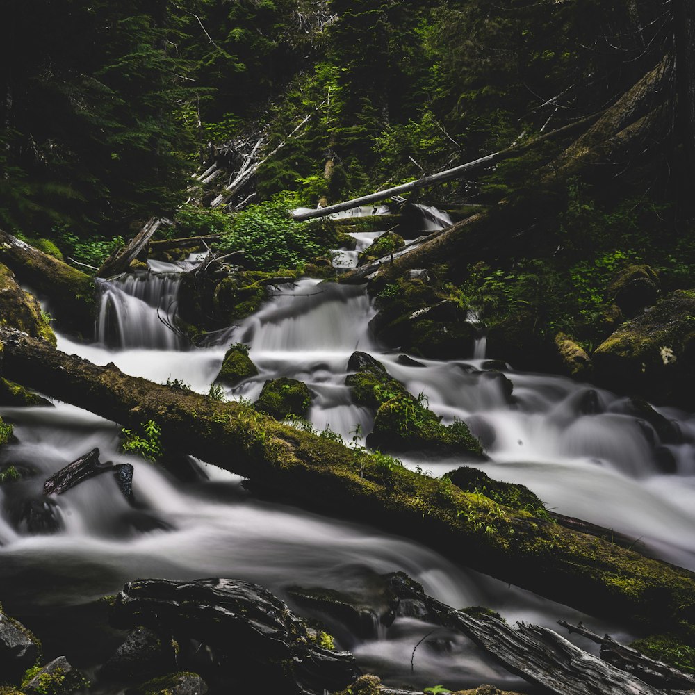 water falls in the middle of the forest