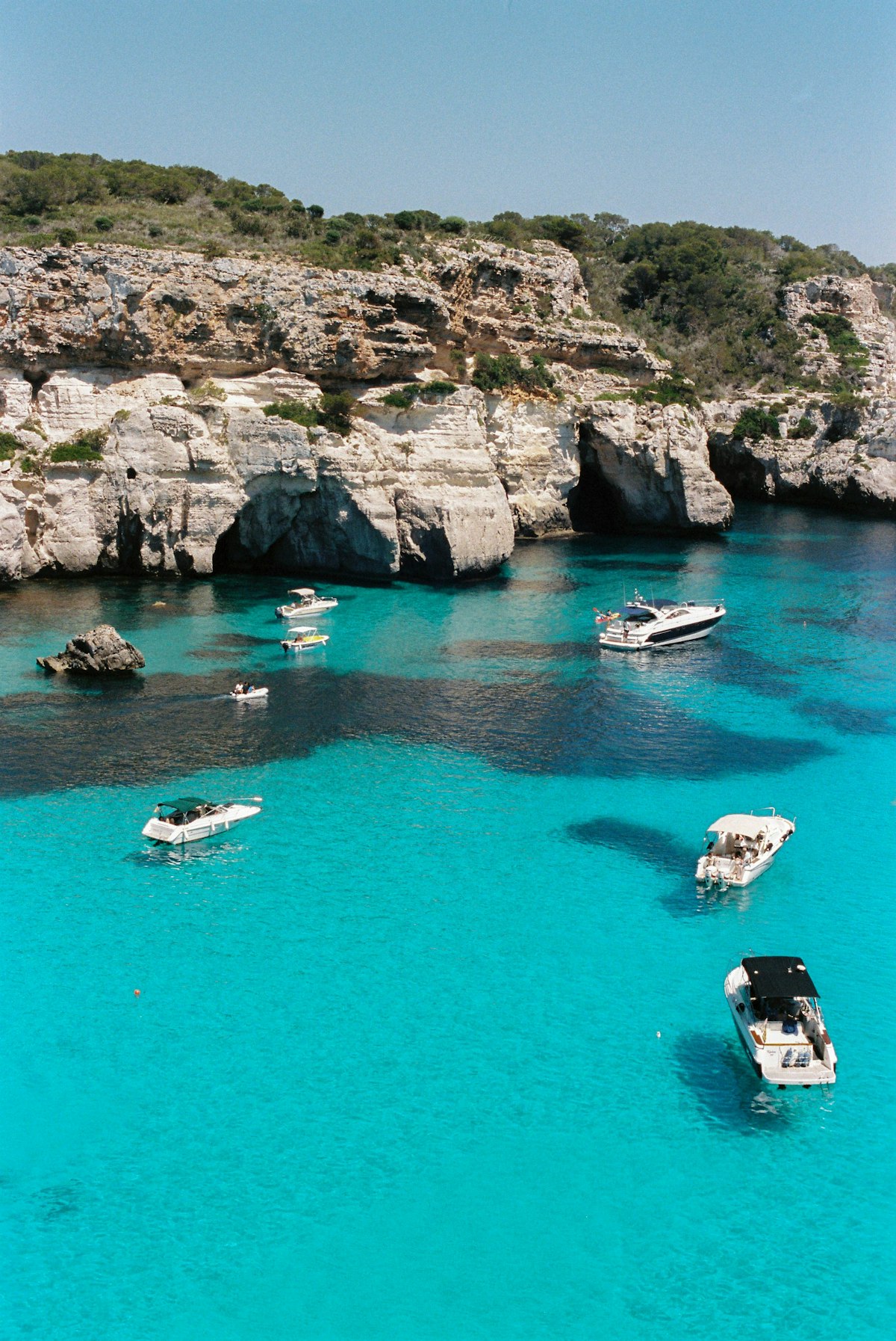 Menorca February — almond blossom winter inland
