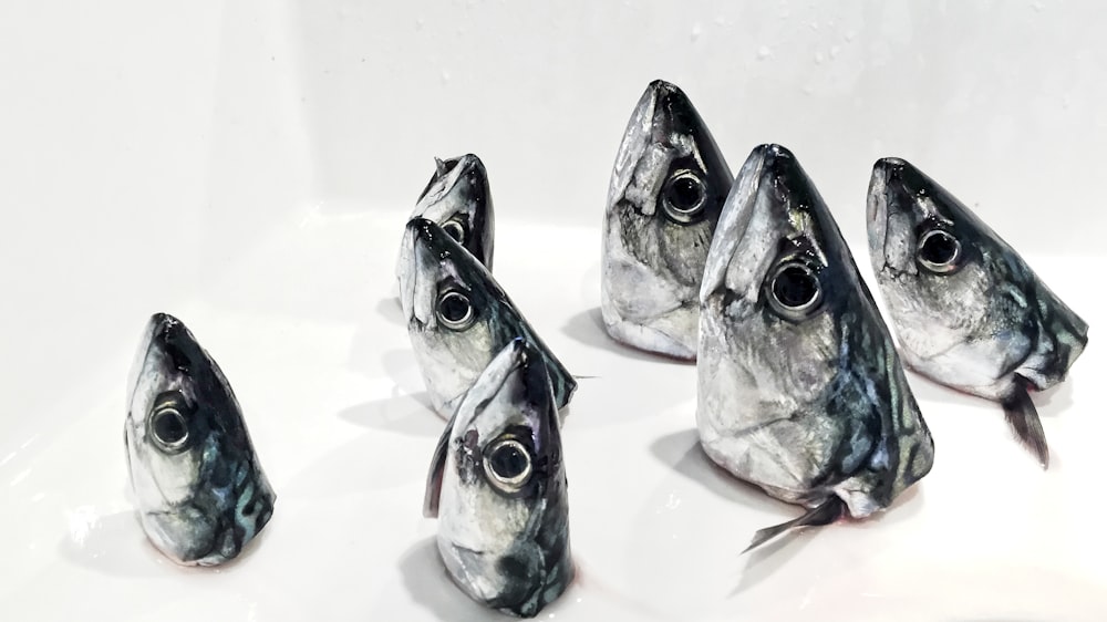 silver fish on white table