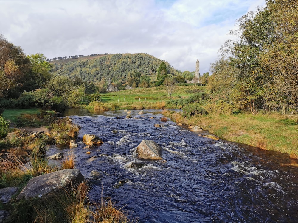 river in the middle of green grass field