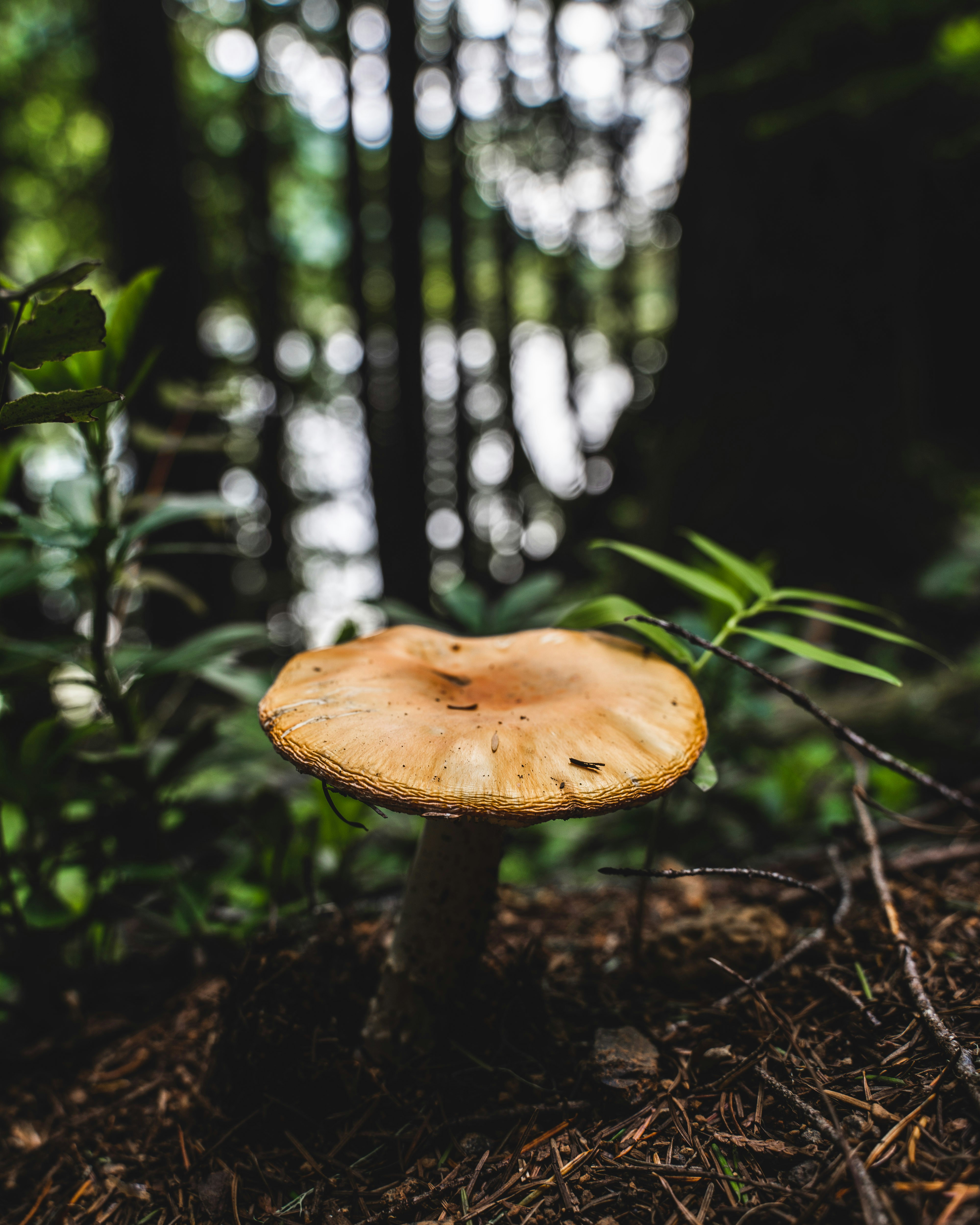 Photo by tatonomusic