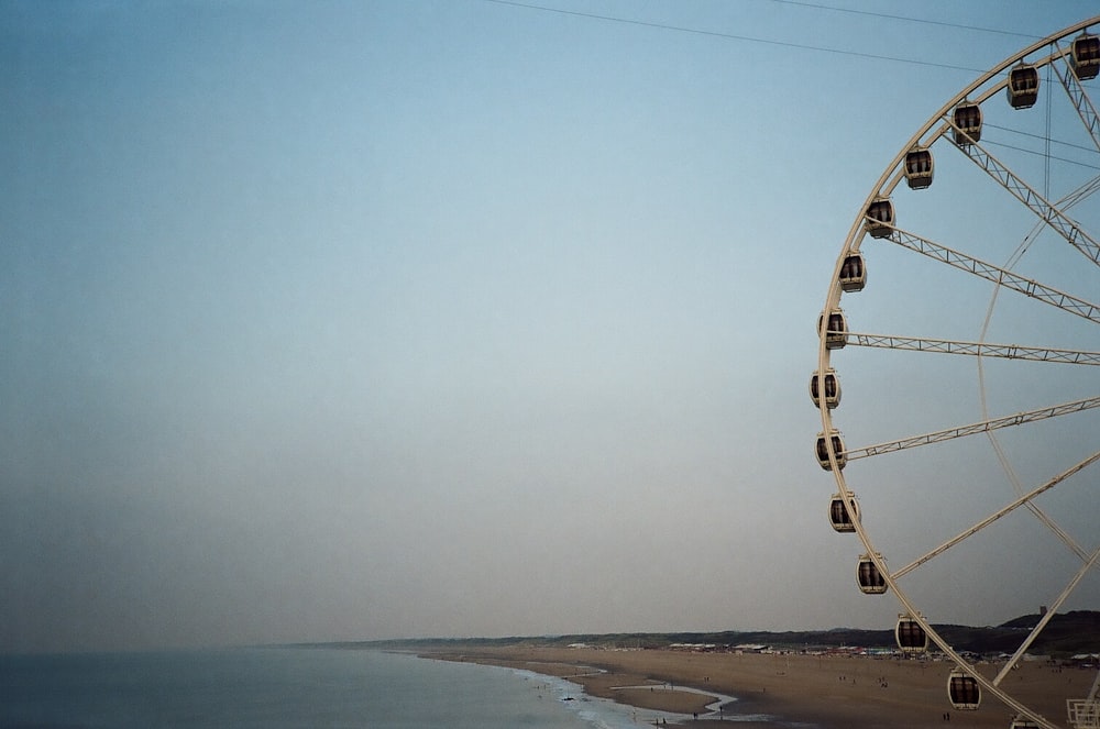 people walking on beach during daytime