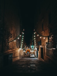 people walking on street during night time