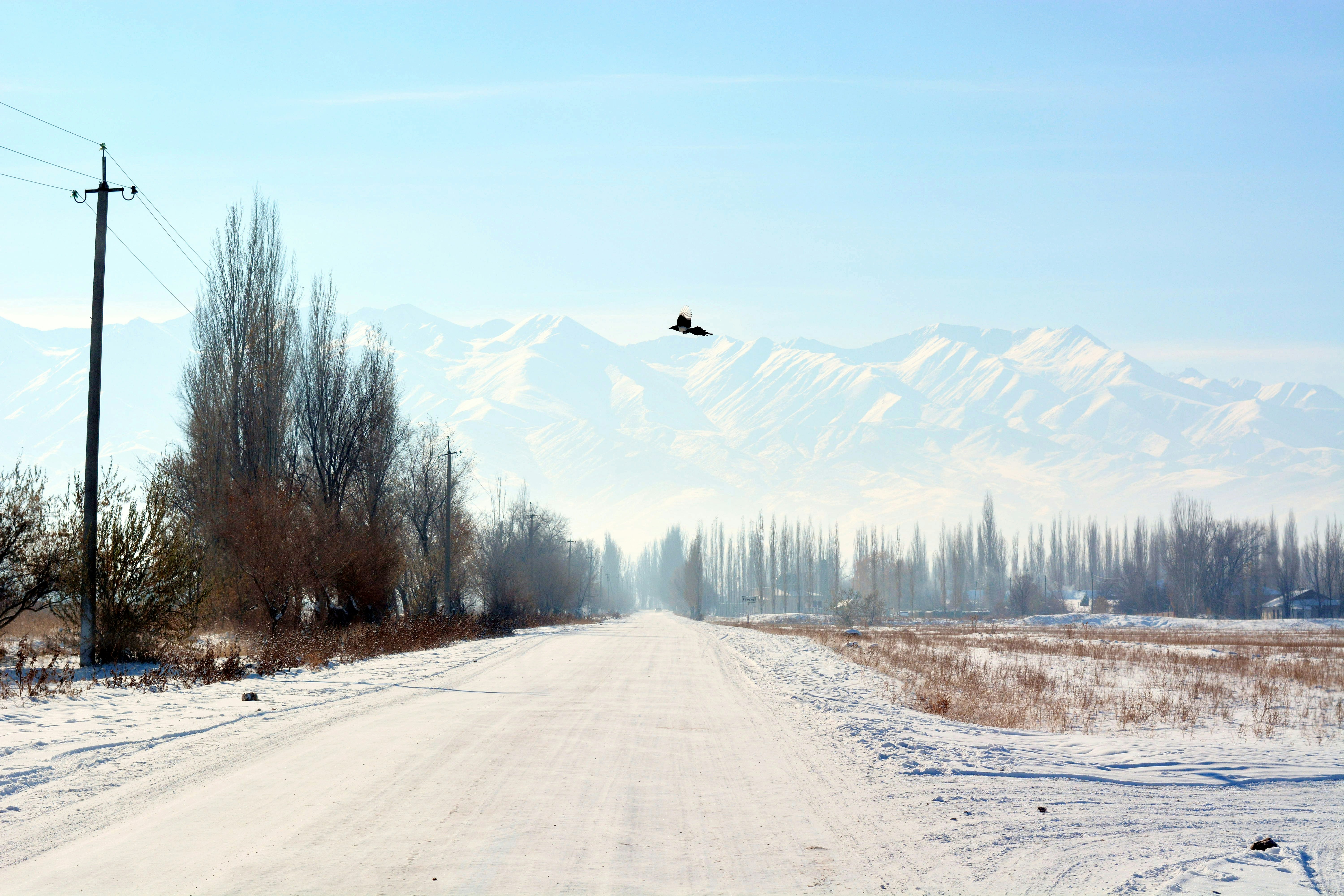 central asia landscape, wallpaper, Ekspansi Islam ke Asia Tengah: Era Umayyah 1