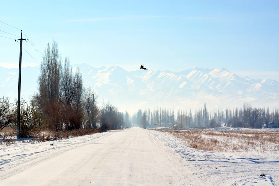 Altyn Arashan, then back