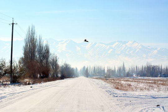 snow covered road near trees and mountains during daytime in Burana Tower Kyrgyzstan