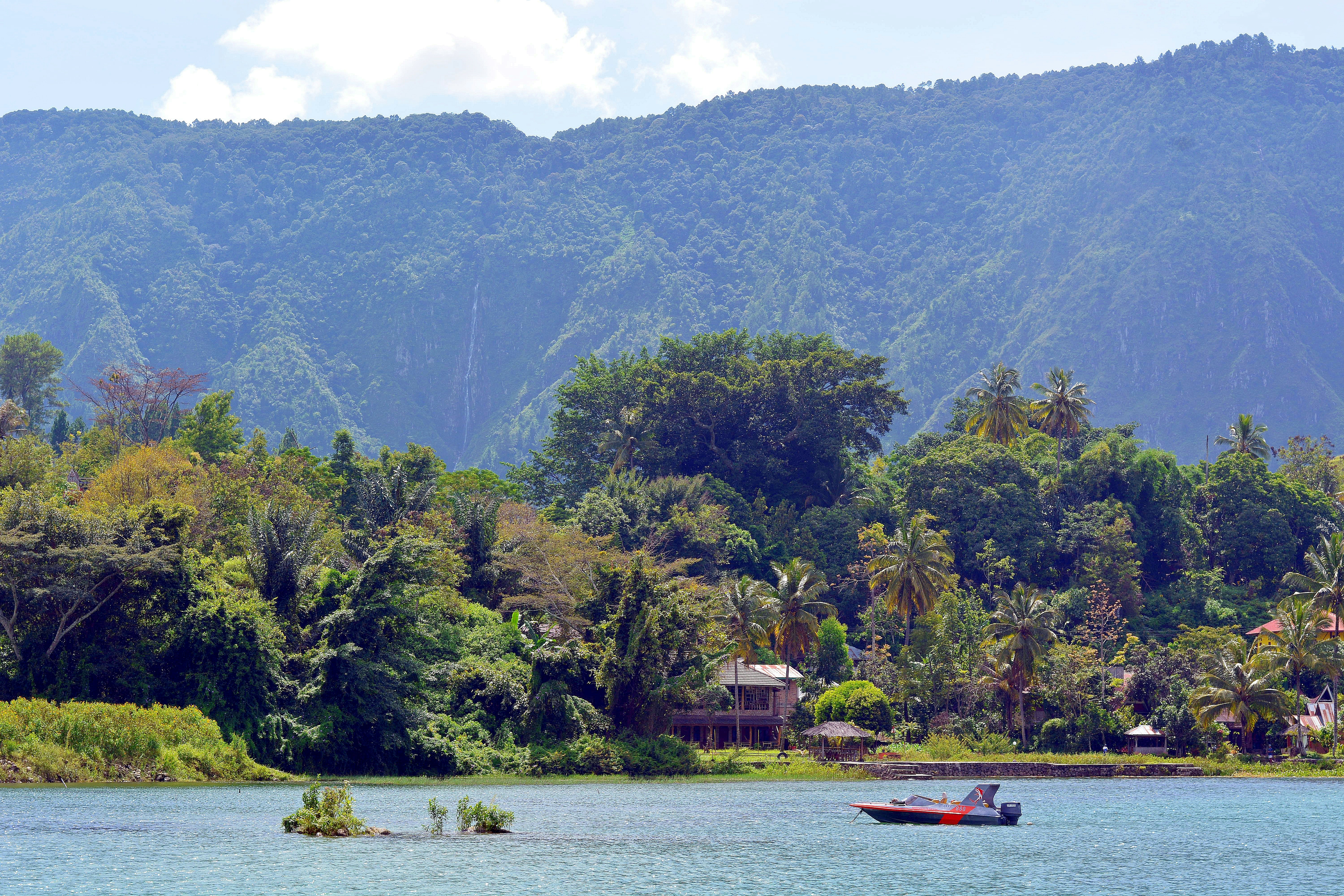 red boat on lake near green trees and mountain during daytime, 