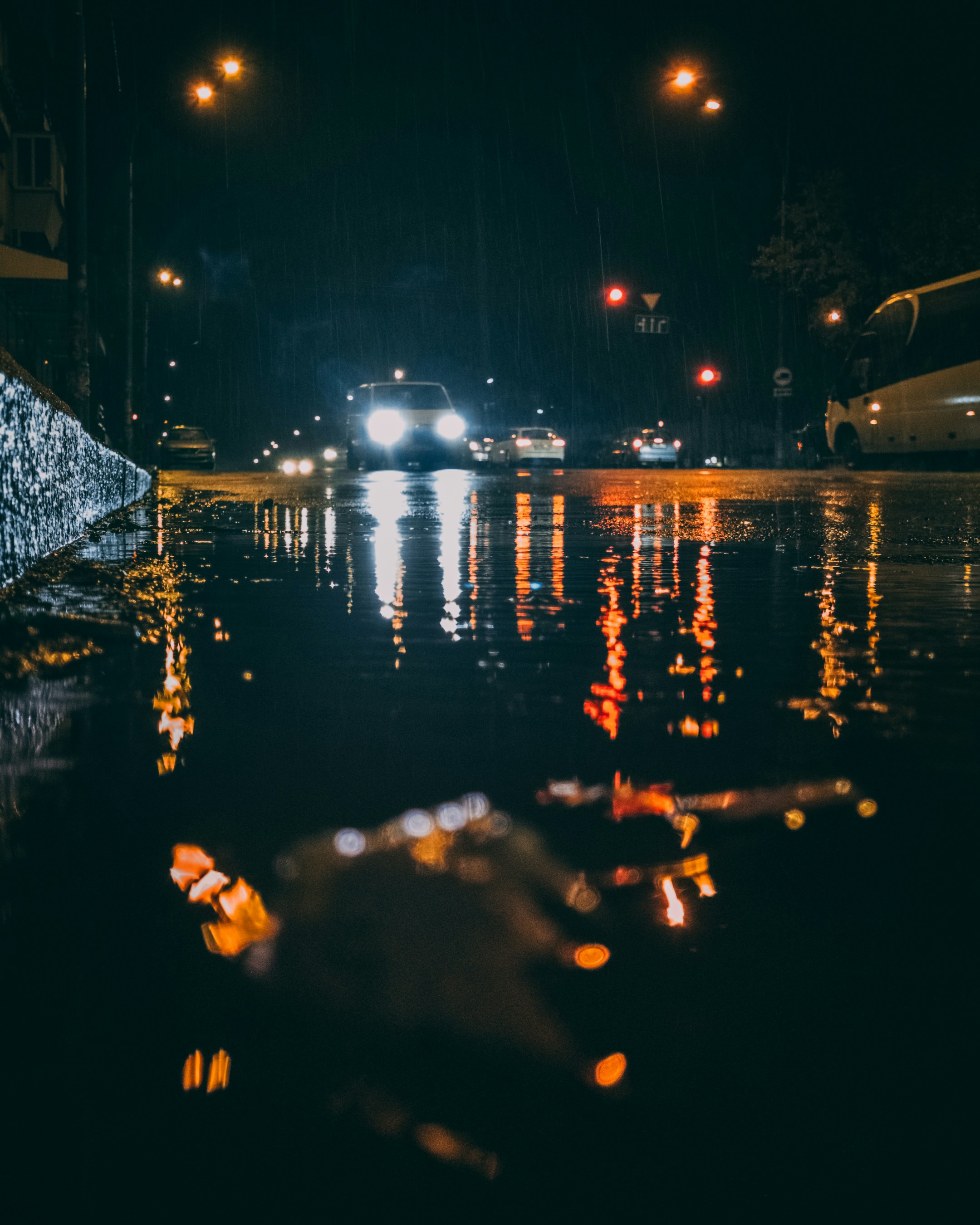 Photo by vmelnechenko