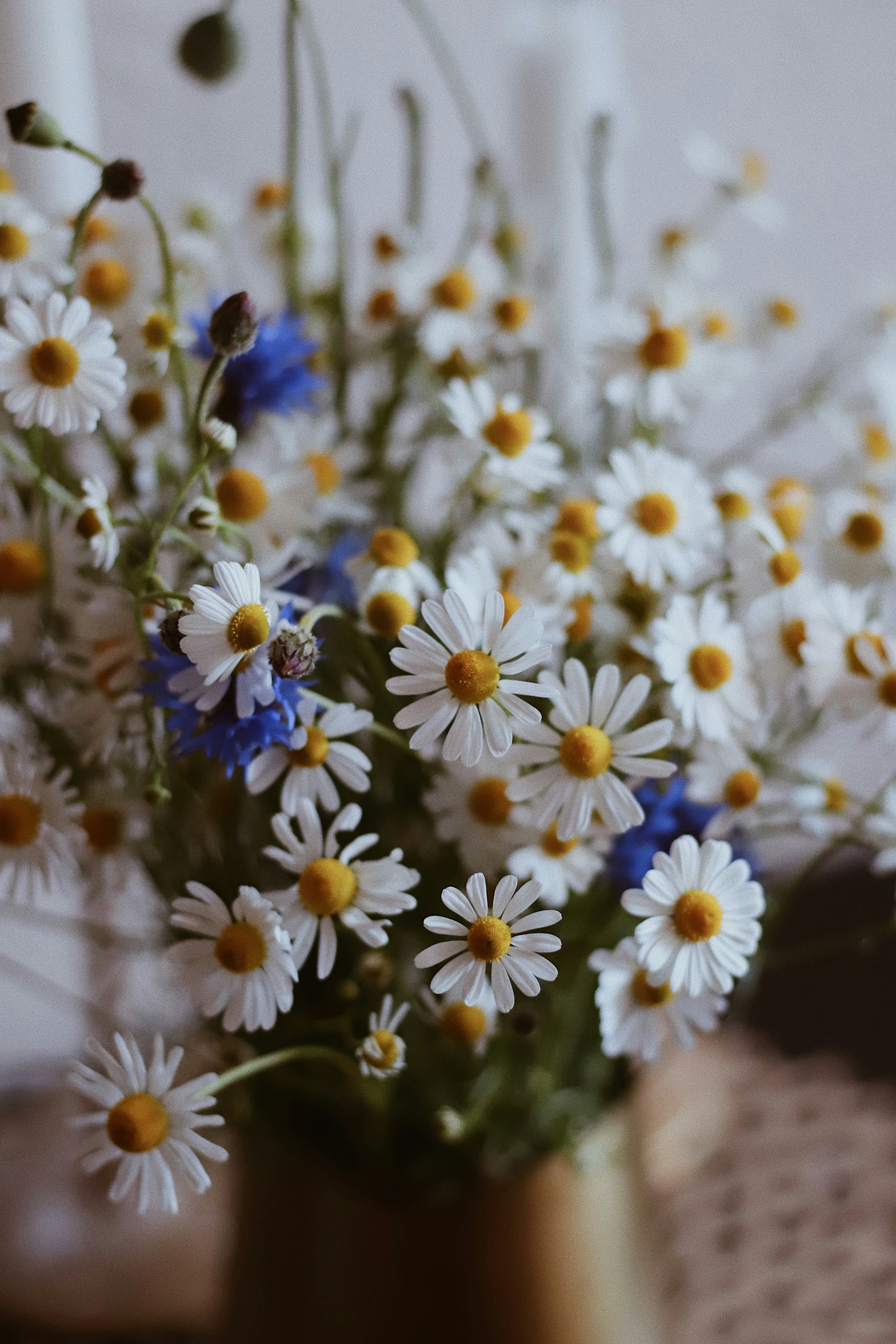 Photo by nesslovetim