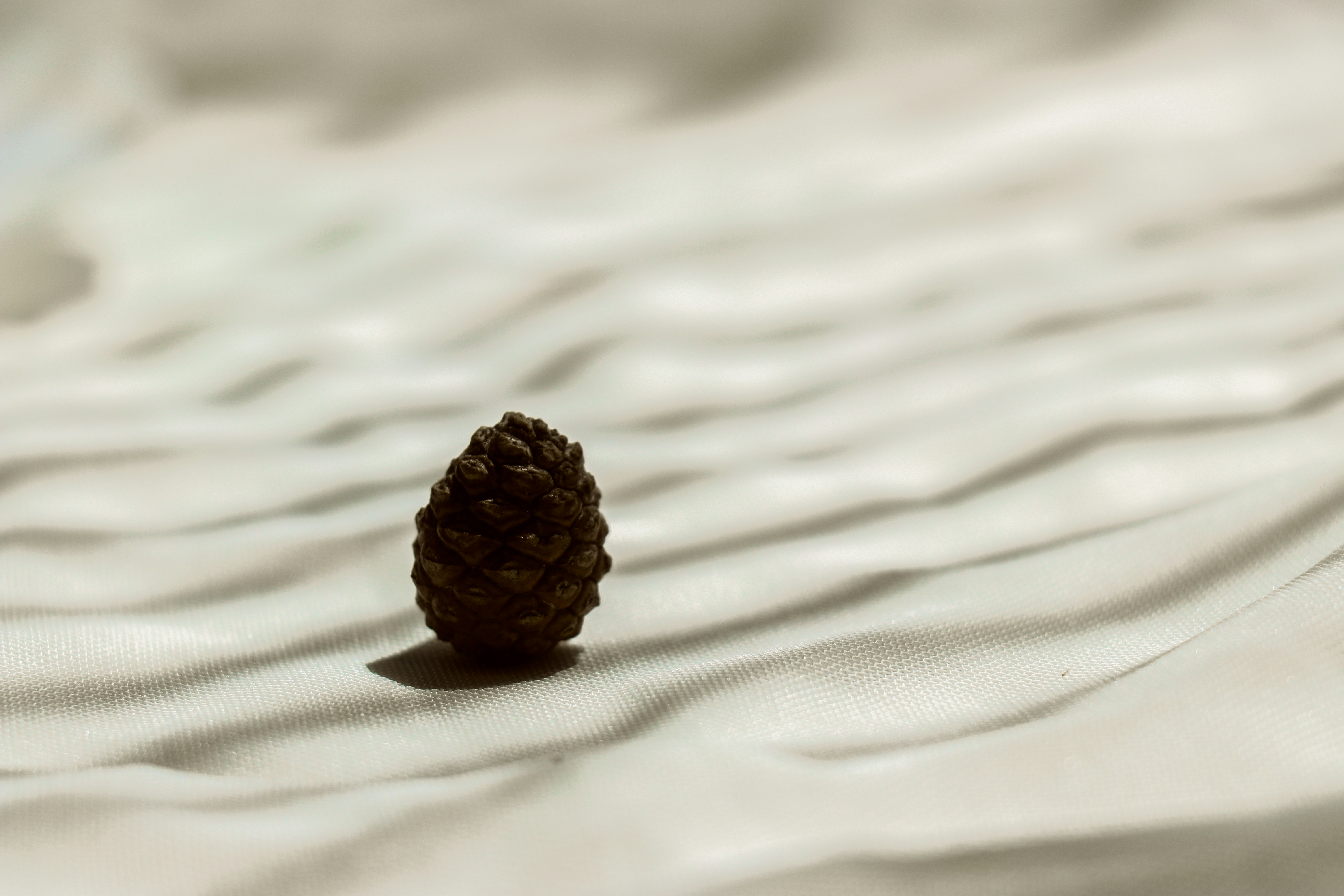 brown pine cone on white textile