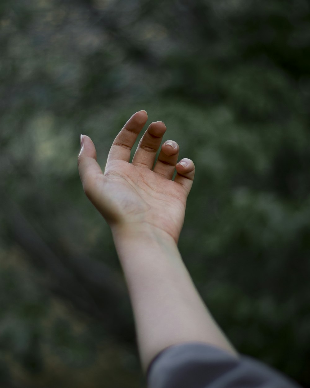 persons left hand with orange manicure