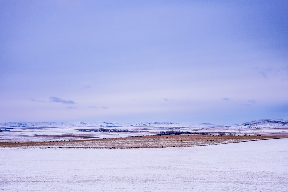 sable blanc sous le ciel bleu pendant la journée