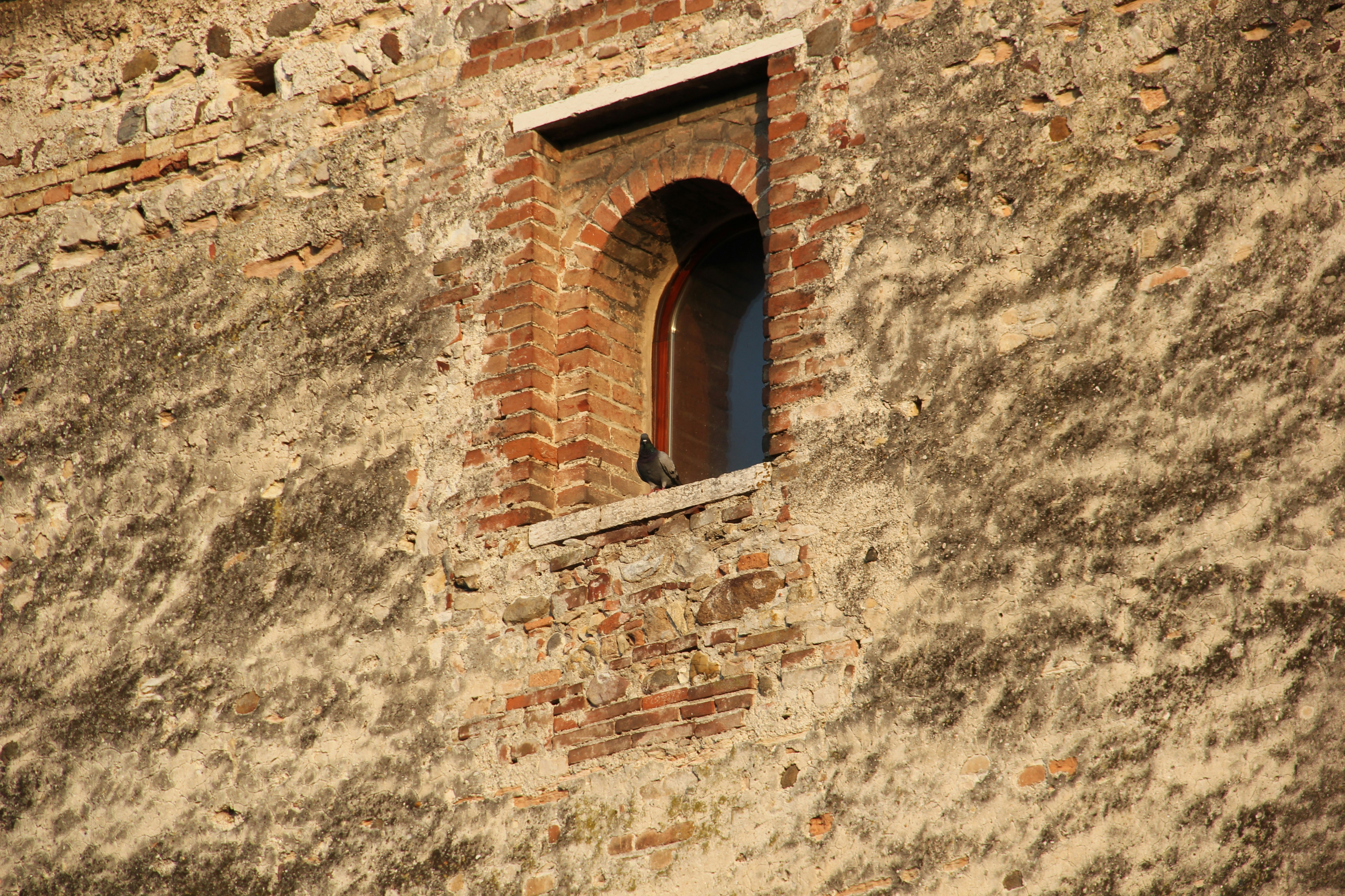 Photo by shalevcohen