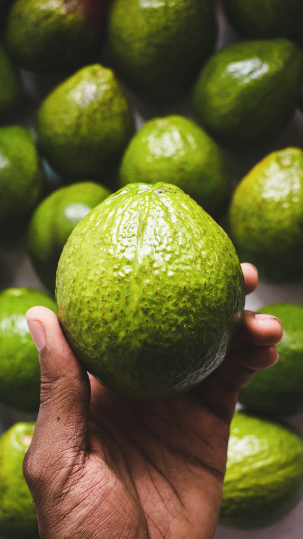 person holding green round fruit