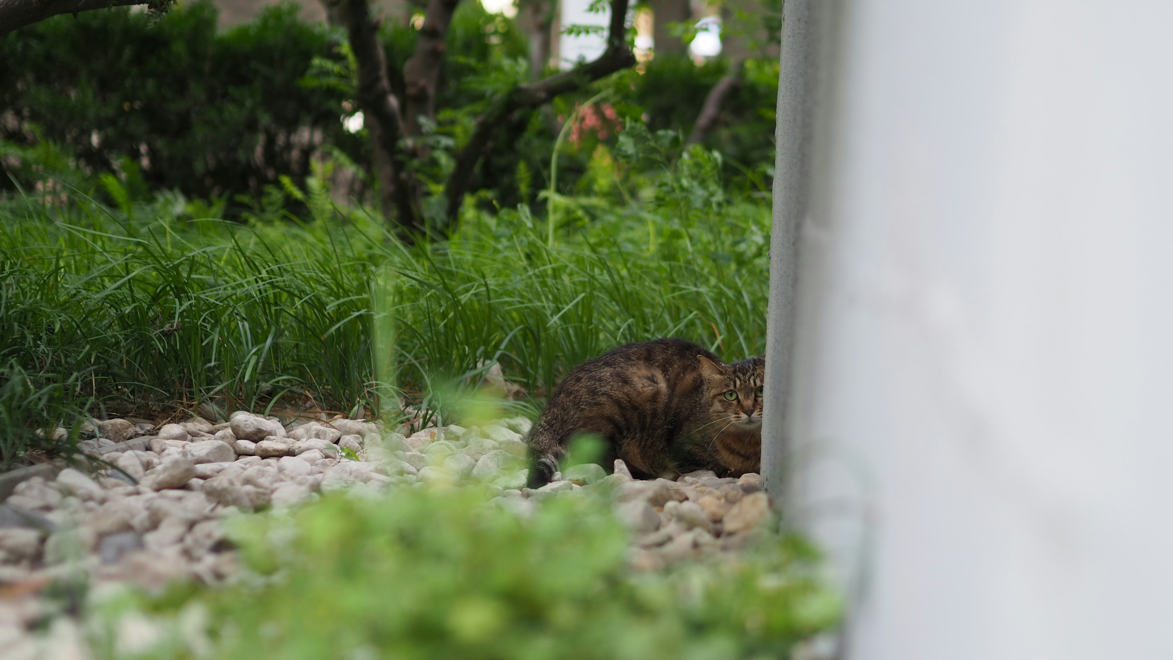 Photo by jackiepark_